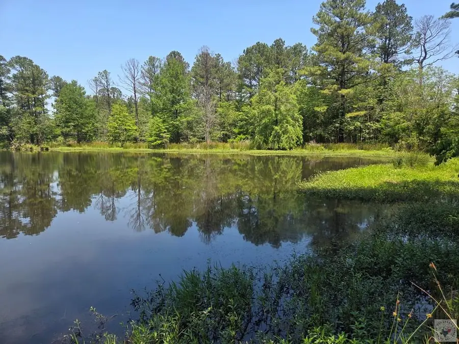CR 2149 W Cr 2149, Redwater, TX 75573 - #3