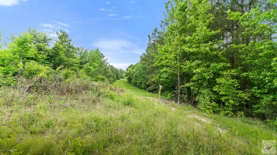TBD County Road 4110, Atlanta, TX 75551 - #2