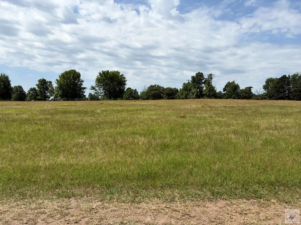 TBD Zinnia Rd, Diana, TX 75640 - #1