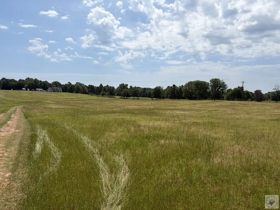 TBD Zinnia Rd, Diana, TX 75640 - #2