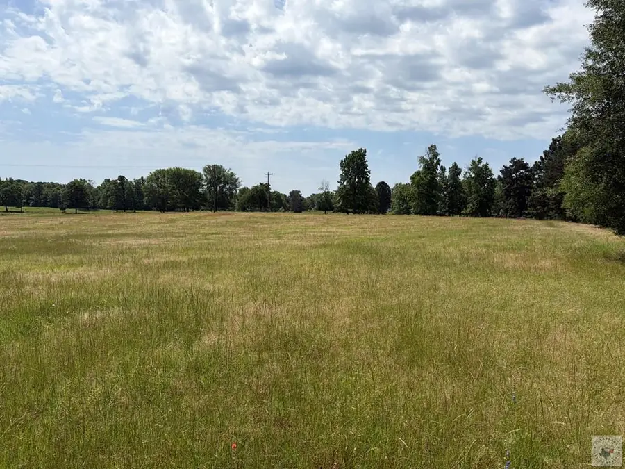 TBD Zinnia Rd, Diana, TX 75640 - #3