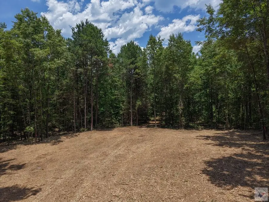 0000 County Road 4452, McLeod, TX 75555 - #2