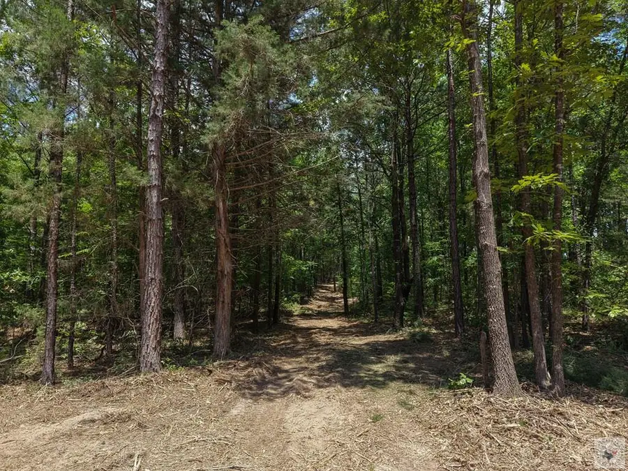 0000 County Road 4452, McLeod, TX 75555 - #3