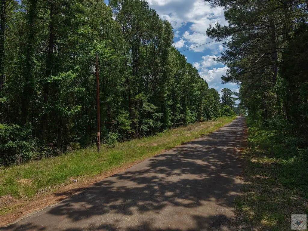 0000 County Road 4452, McLeod, TX 75555 - #1