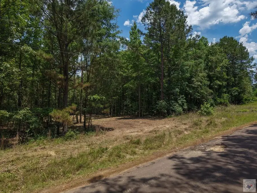 0000 County Road 4452, McLeod, TX 75555 - #2
