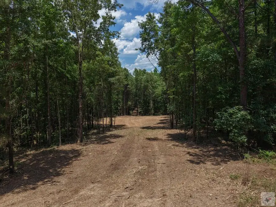 0000 County Road 4452, McLeod, TX 75555 - #3