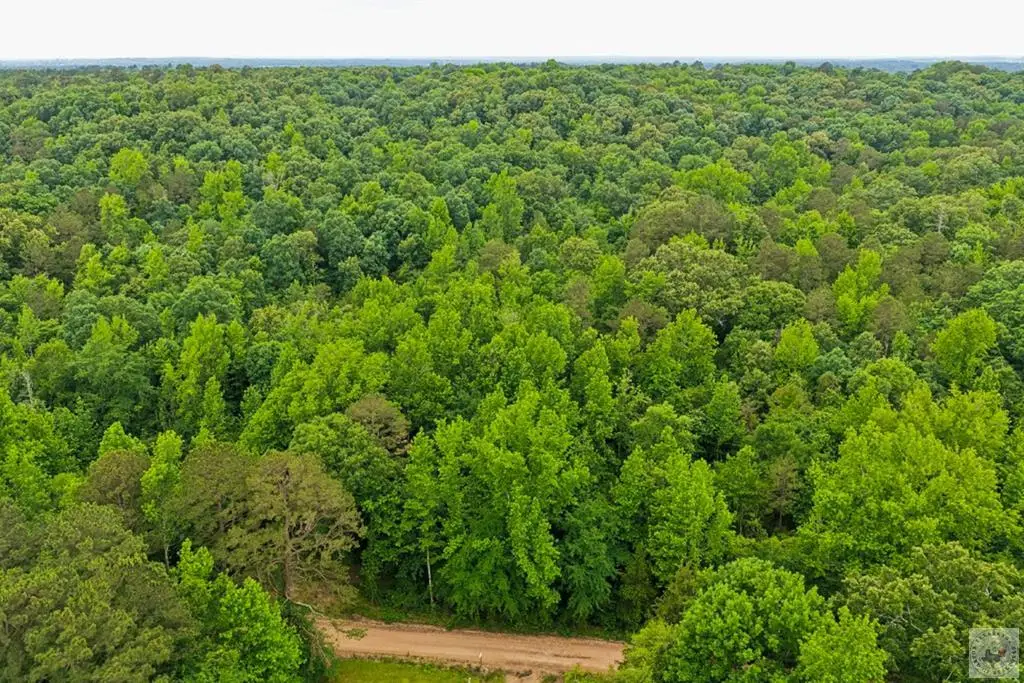 396 Avon Road, Bear Creek, AR 71832 - #1