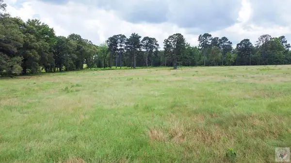 30 +/- ac Cr 1112, Maud, TX 75567