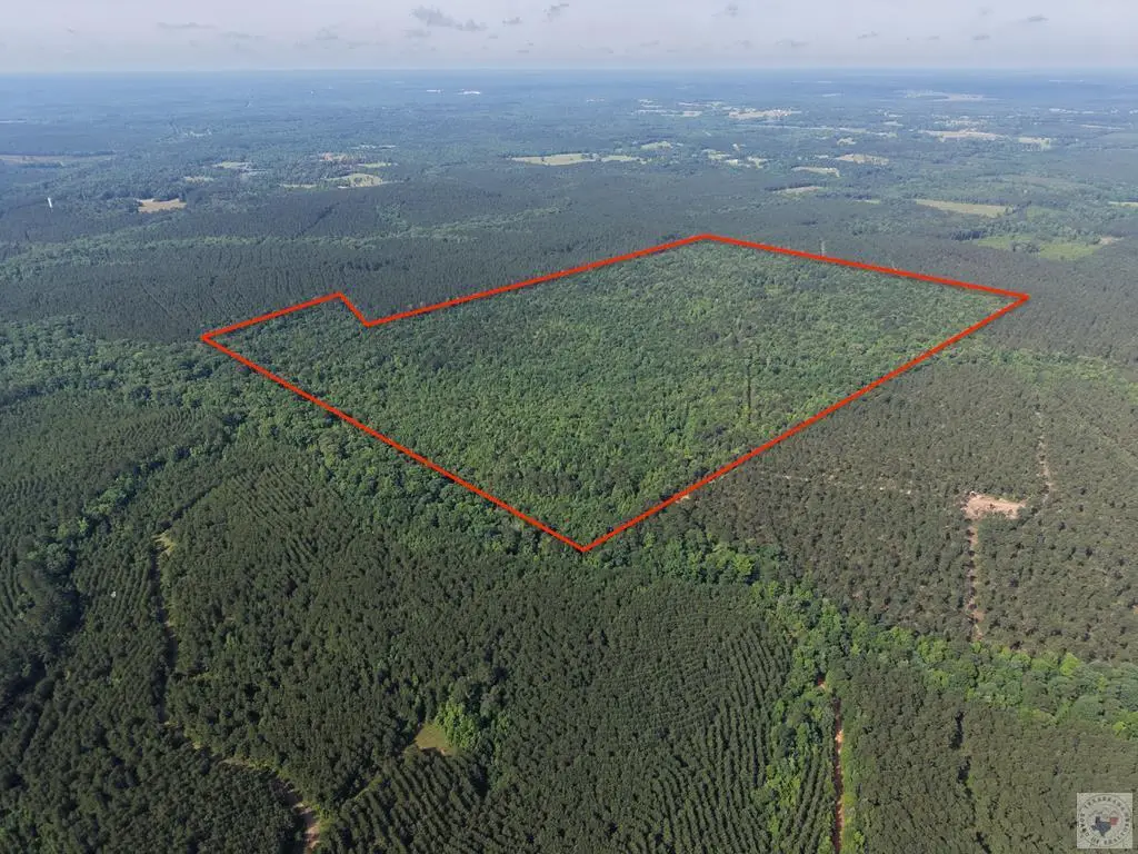 999 Flarity Rd, Jefferson, TX 75657 - #1