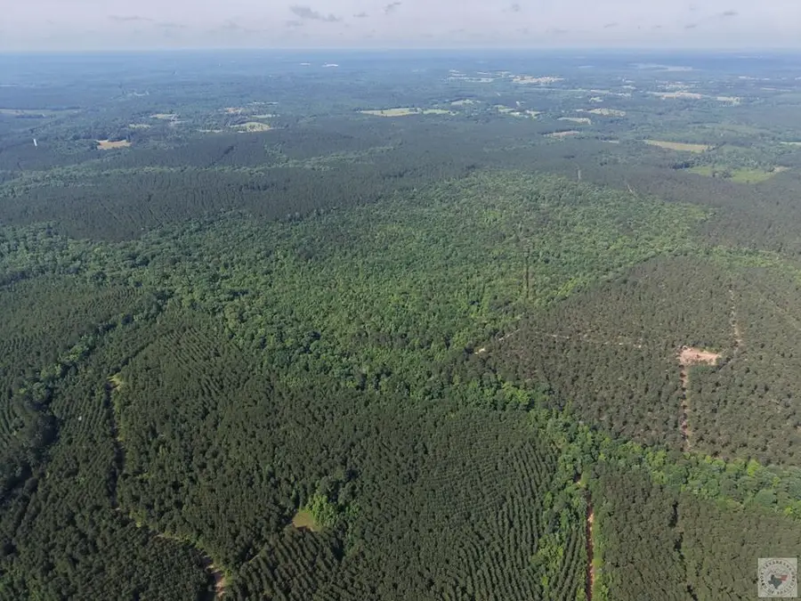 999 Flarity Rd, Jefferson, TX 75657 - #2