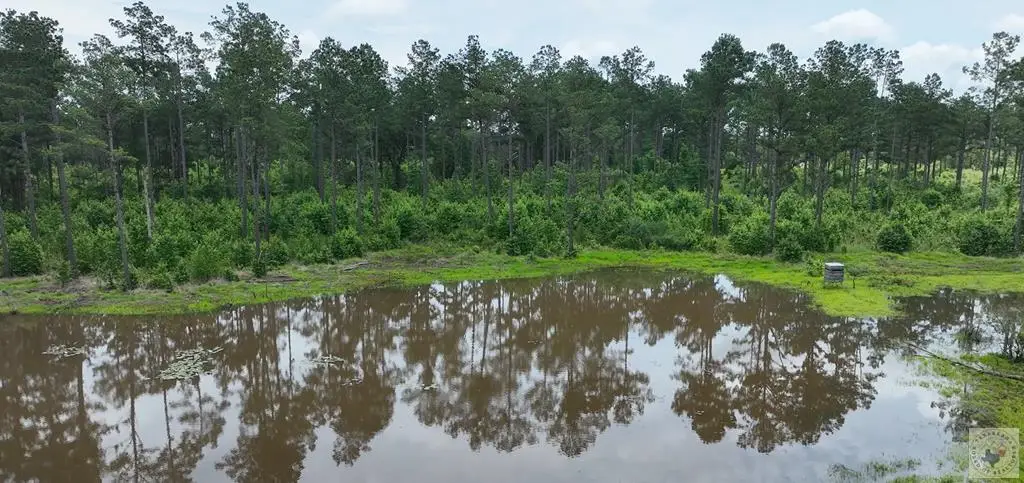 TBD County Road 2468, Douglassville, TX 75560 - #1