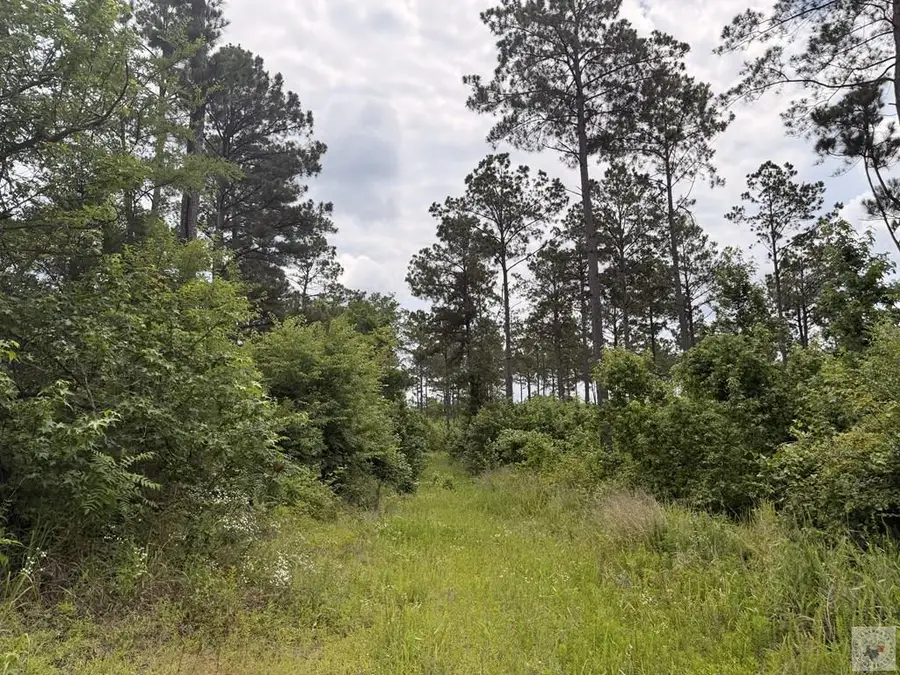 TBD County Road 2468, Douglassville, TX 75560 - #2