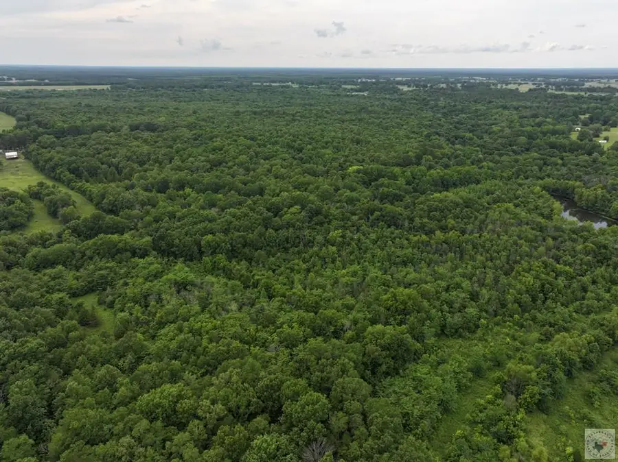 0 County Road 3404, Avery, TX 75554 - #2