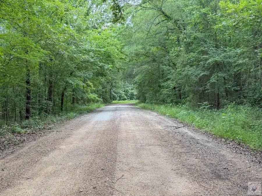 0 County Road 3404, Avery, TX 75554 - #3