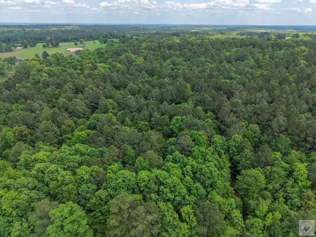 TBD Cr 3217, Atlanta, TX 75551 - #1