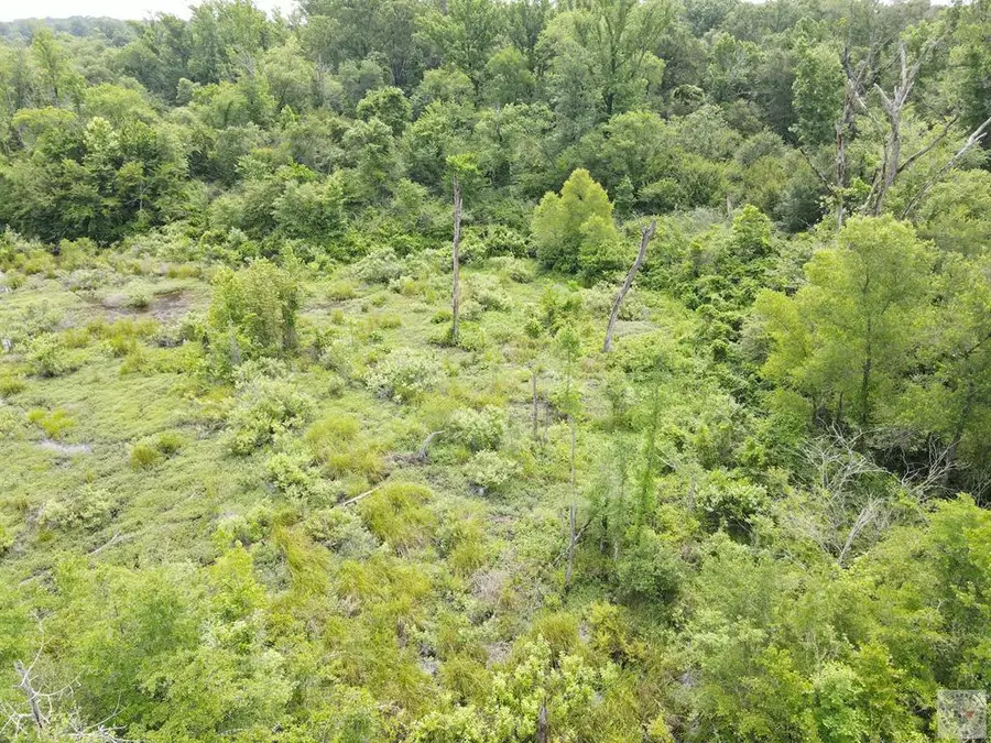 TBD Cr 3217, Atlanta, TX 75551 - #2