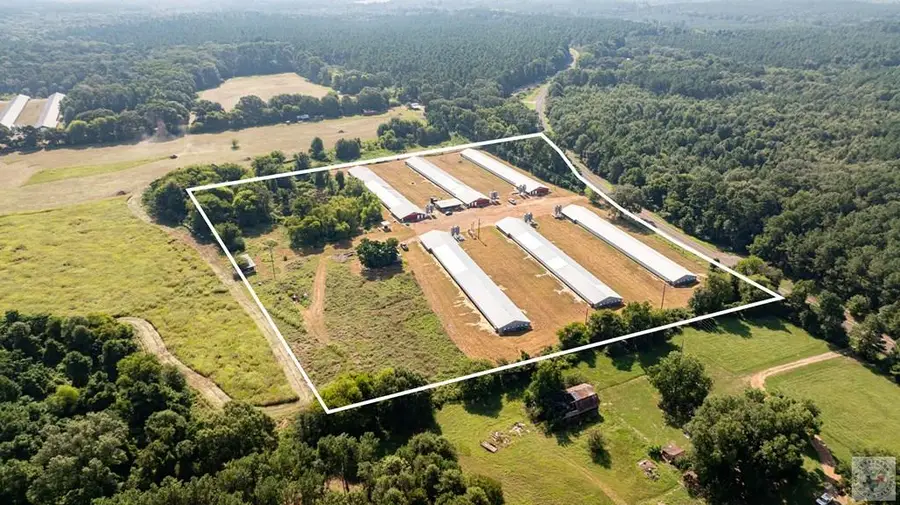 TBD Fm 130, Linden, TX 75563 - #2
