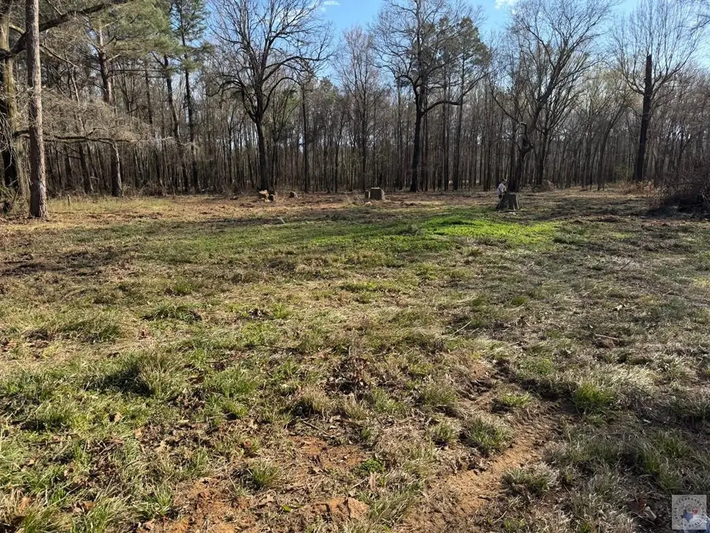 0 Eckert Lane, Hooks, TX 75561 - #1