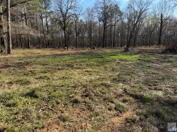 0 Eckert Lane, Hooks, TX 75561