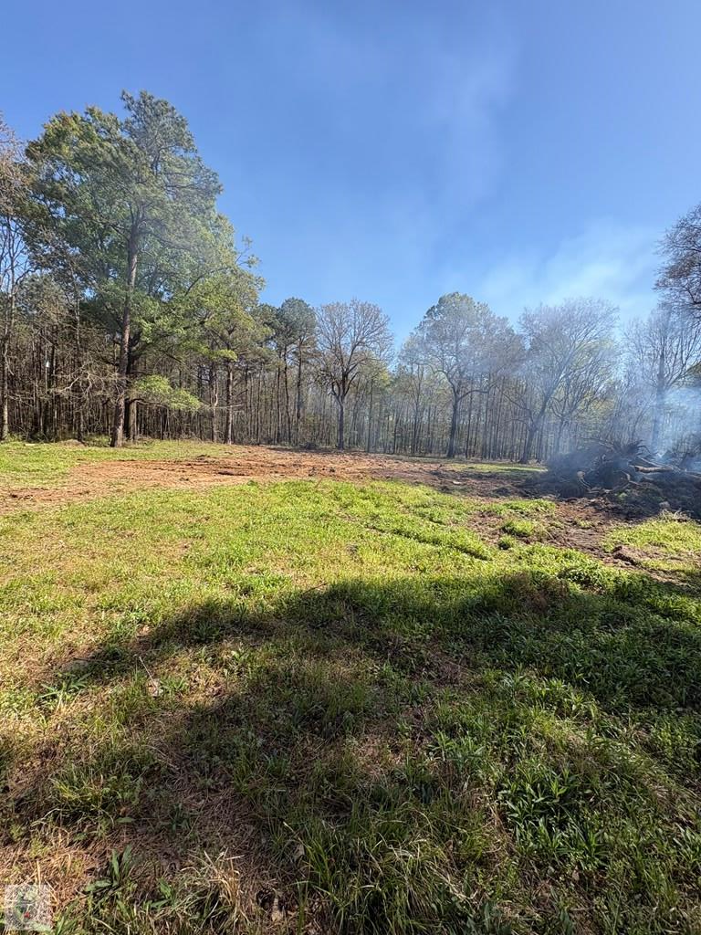 0 Eckert Lane, Hooks, TX 75561 - #2