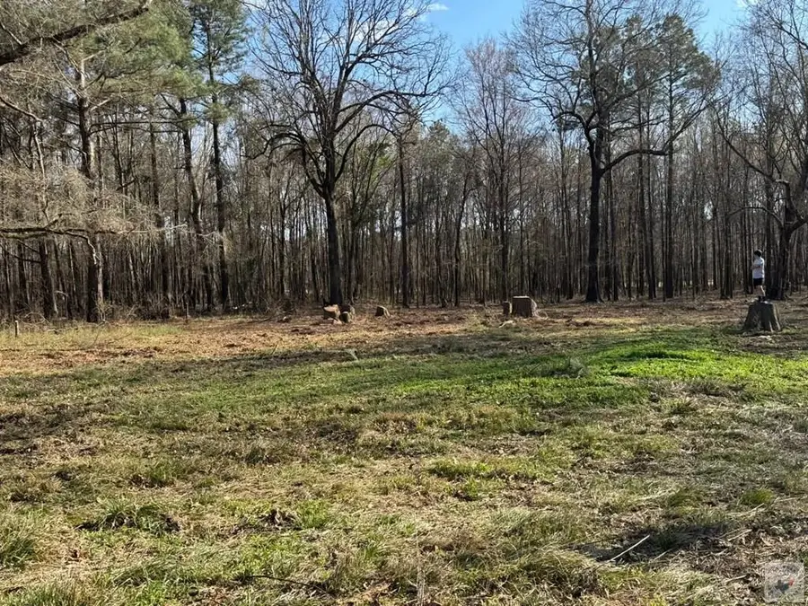 0 Eckert Lane, Hooks, TX 75561 - #3