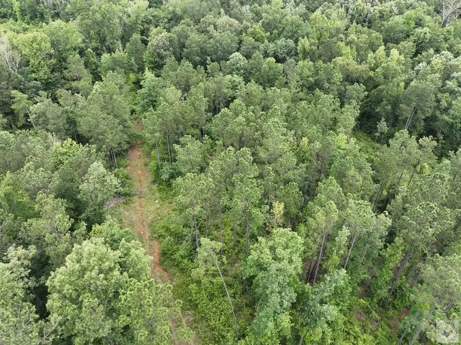 TBD County Road 2229, Douglassville, TX 75560 - #3