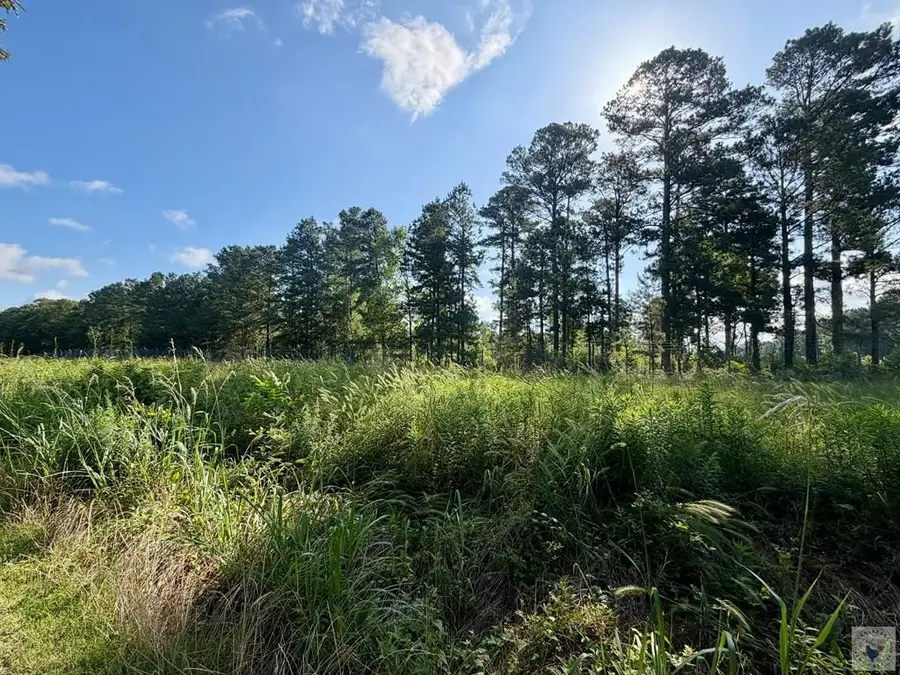 340 Cr 1109, Maud, TX 75567 - #2