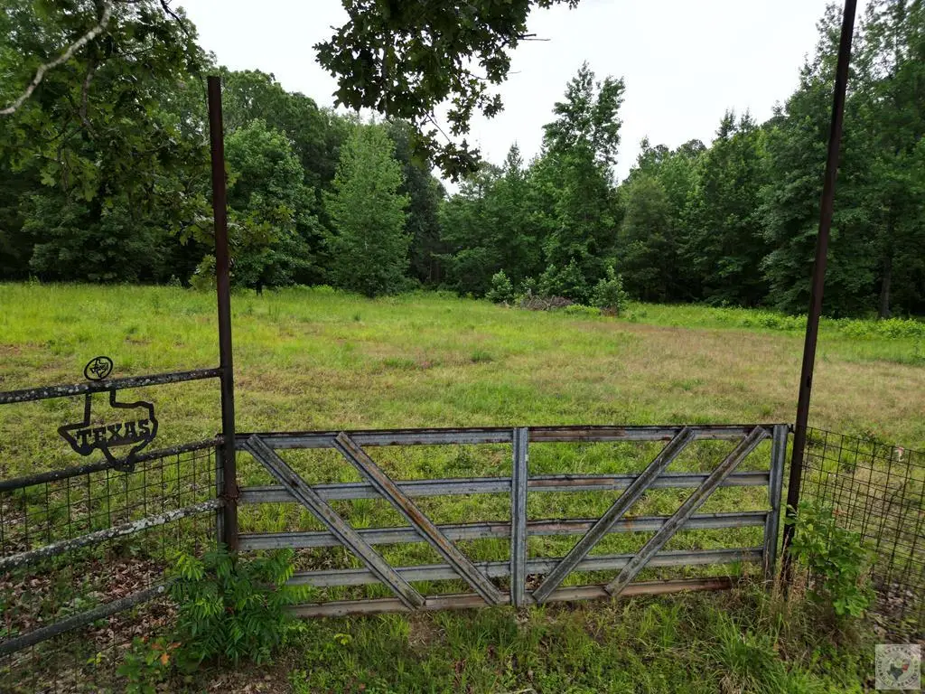 TBD Cr 4223 Tract 1, Atlanta, TX 75551 - #1