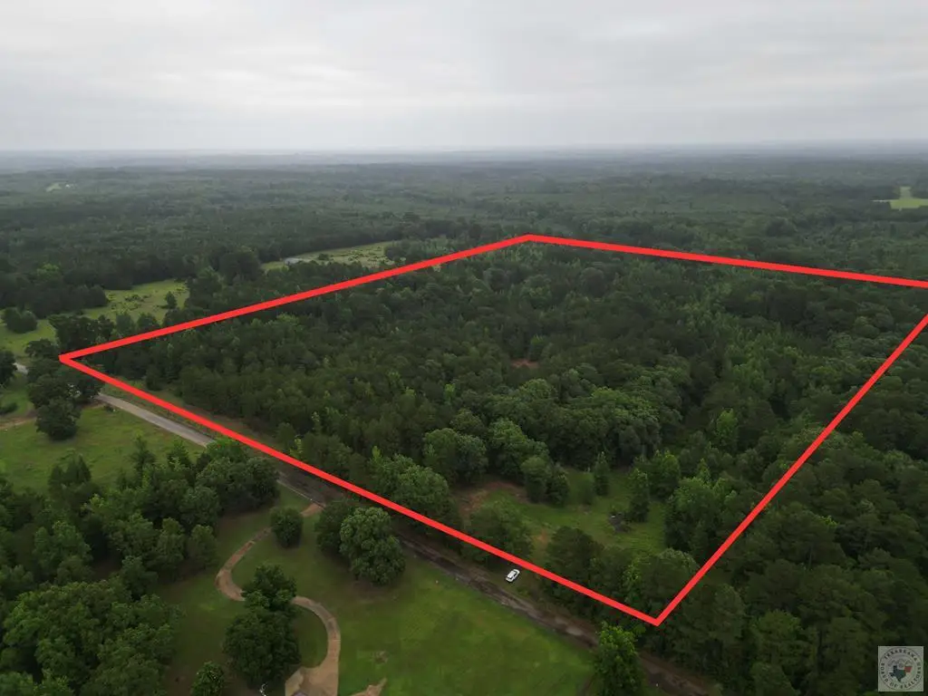 TBD Cr 4223 Tract 2, Atlanta, TX 75551 - #1