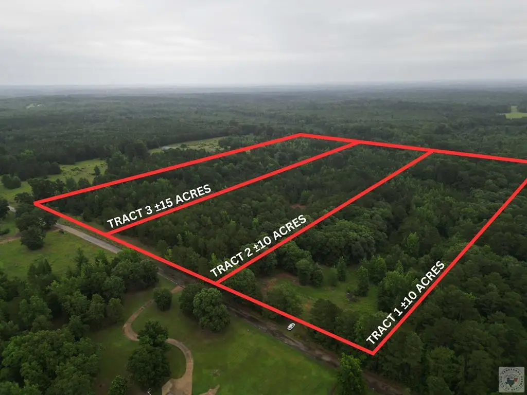 TBD Cr 4223 Tract 3, Atlanta, TX 75551 - #1