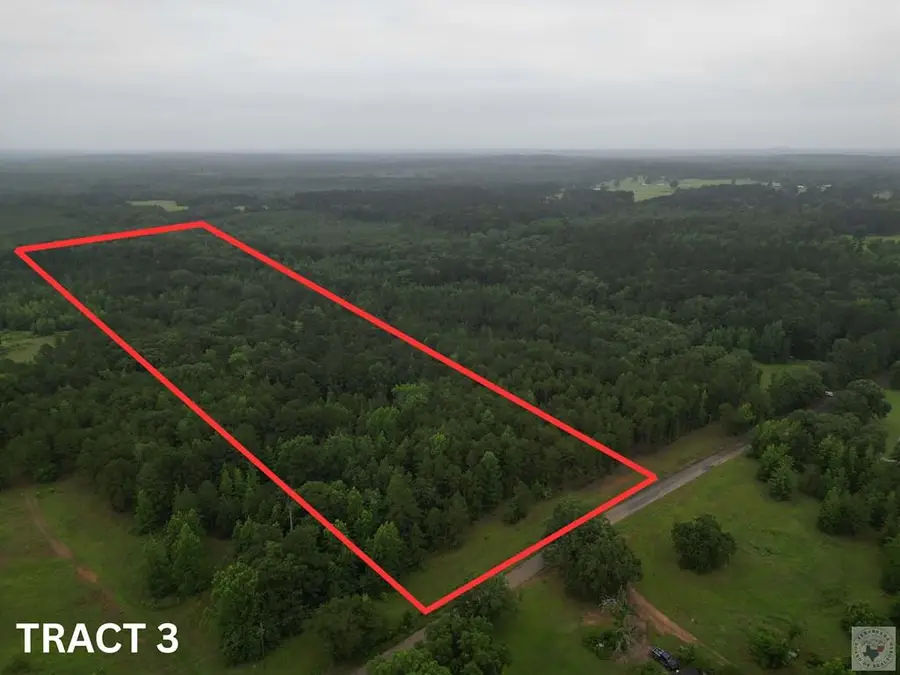 TBD Cr 4223 Tract 3, Atlanta, TX 75551 - #2