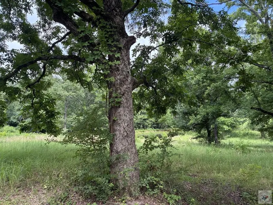 5 Acres Smith Rd, Texarkana, AR 71854 - #2