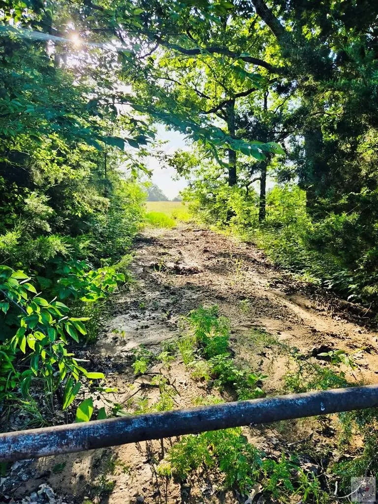 41 County Road 3212, Clarksville, TX 75426 - #2