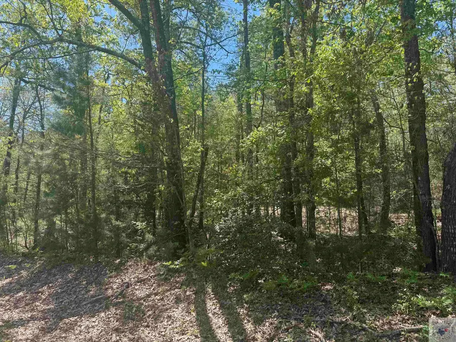 6889 Fm 1399, Linden, TX 75563 - #3