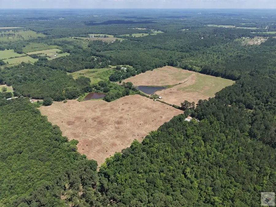 000 County Road 4810, Atlanta, TX 75551 - #2