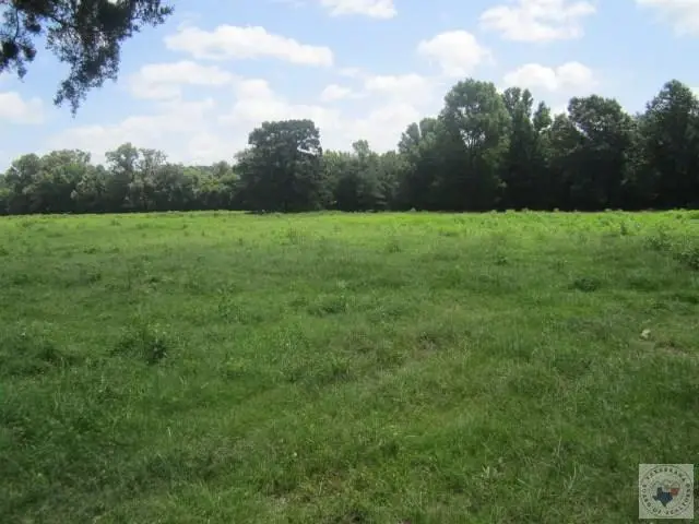 TBD Cr 1102, Maud Redwater, TX 75505 - #3