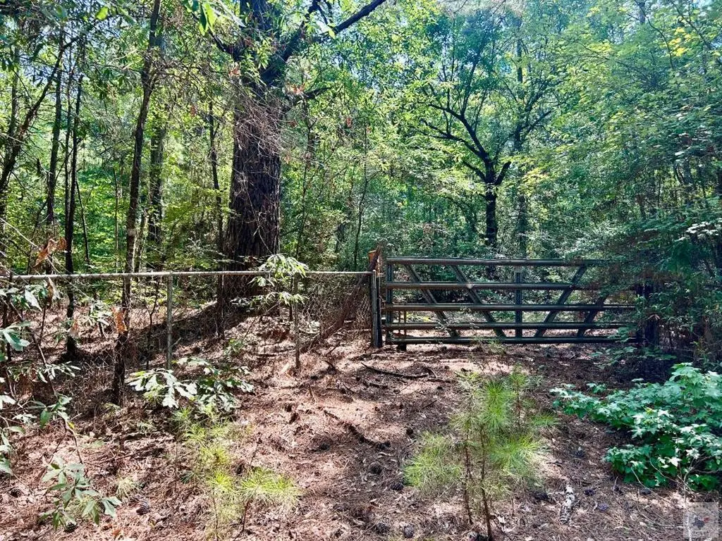 TBD Cr 4224, Atlanta, TX 75551 - #1