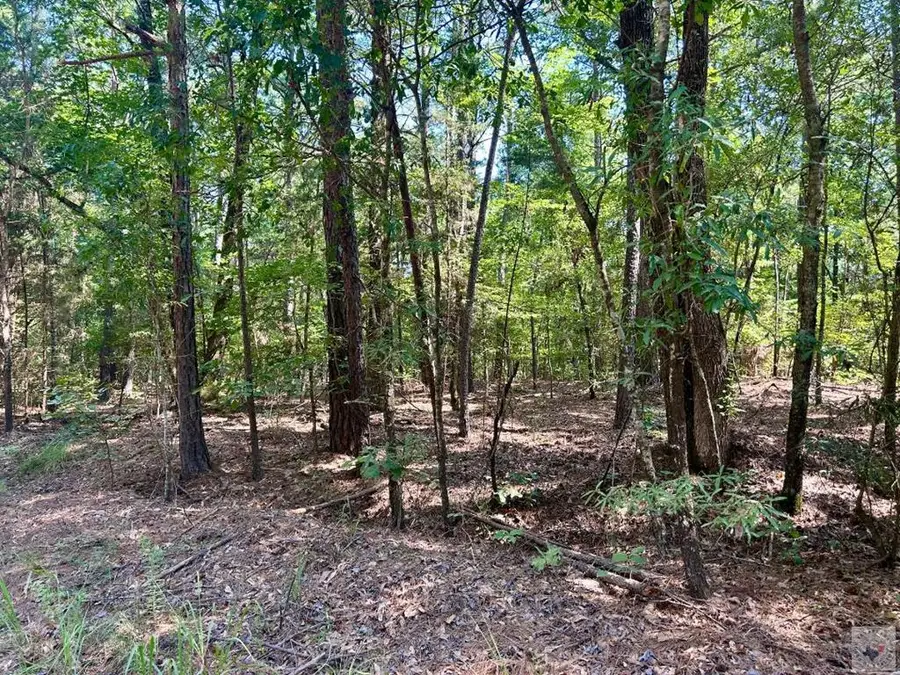 TBD Cr 4224, Atlanta, TX 75551 - #2