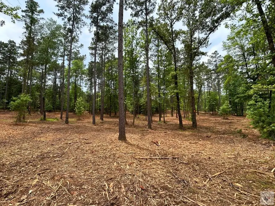 TBD Harkins Ln., Marshall, TX 75672 - #3