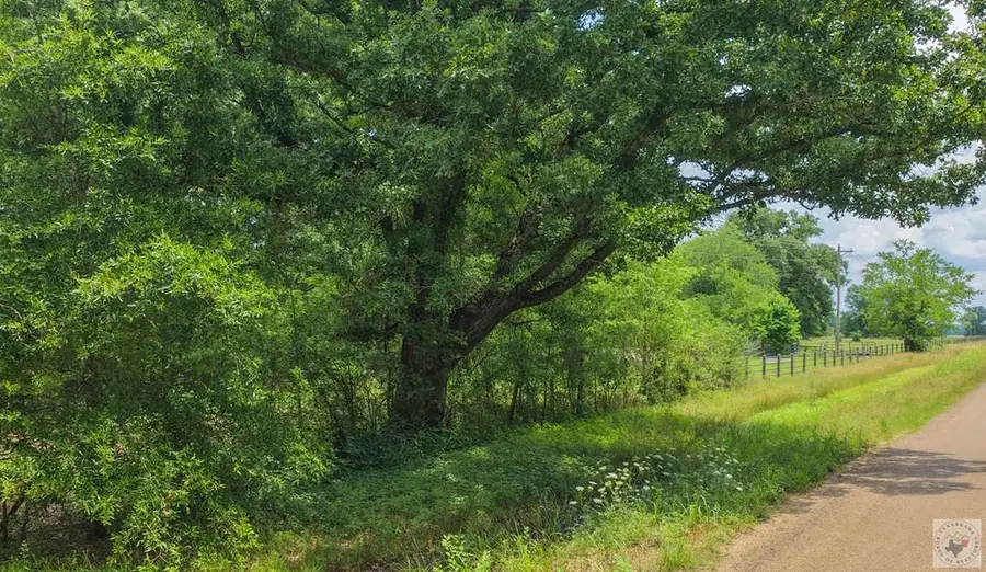 TBD N County Road 1905, Talco, TX 75487 - #2