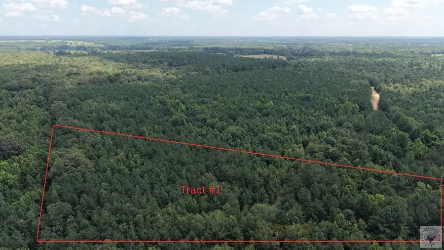 Tract 1 Cr 4320, De Kalb, TX 75559 - #2