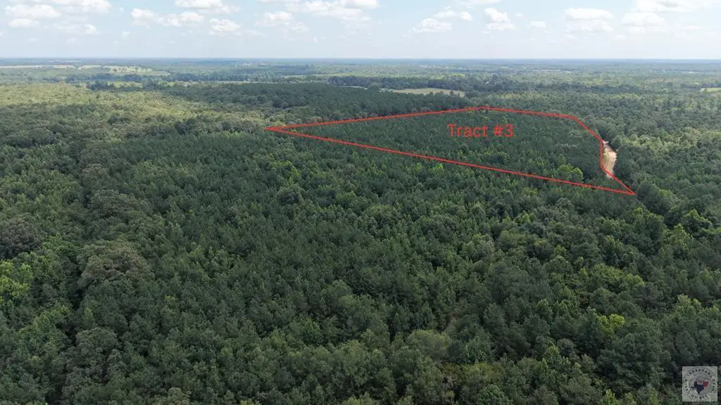 Tract 3 Cr 4320, De Kalb, TX 75559 - #1