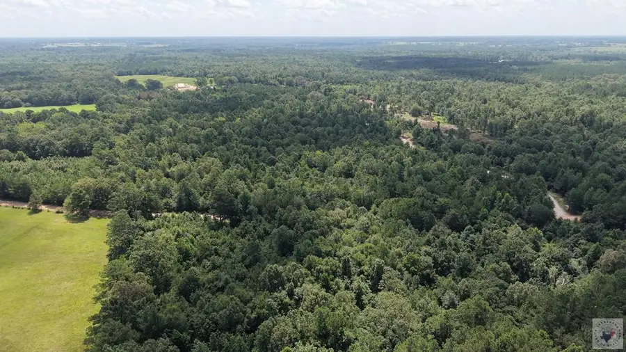 Tract 3 Cr 4320, De Kalb, TX 75559 - #3