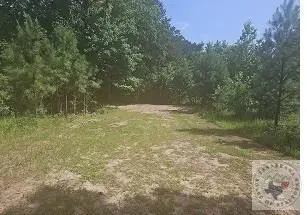 22059 State Highway 154, Harleton, TX 75651 - #1