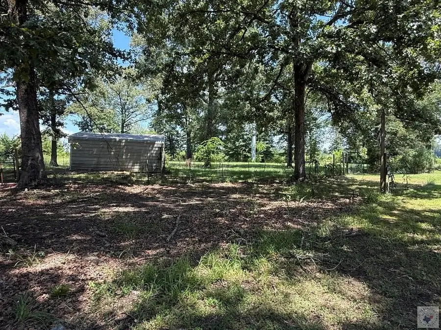13105 Hwy 259, Dalby Springs Simms, TX 75559 - #3