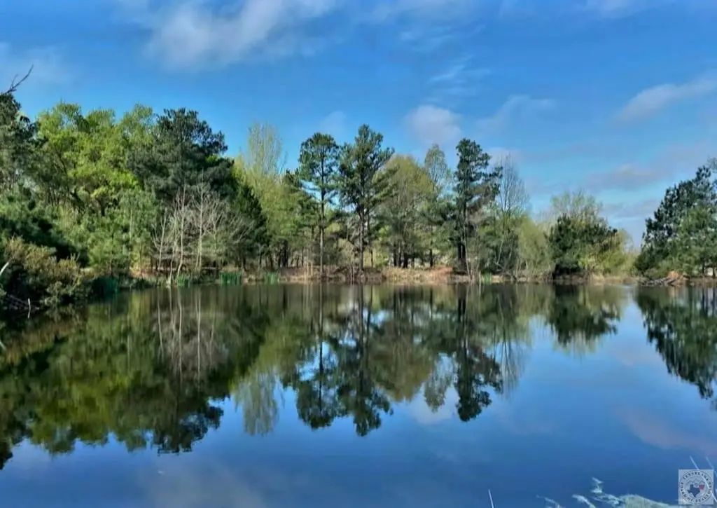 887 Leary Rd, Texarkana, TX 75503 - #1