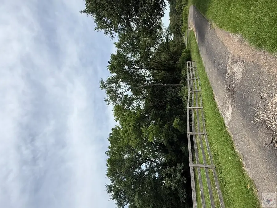 4529 Parker Ln (12 Acres), Texarkana, AR 71854 - #2