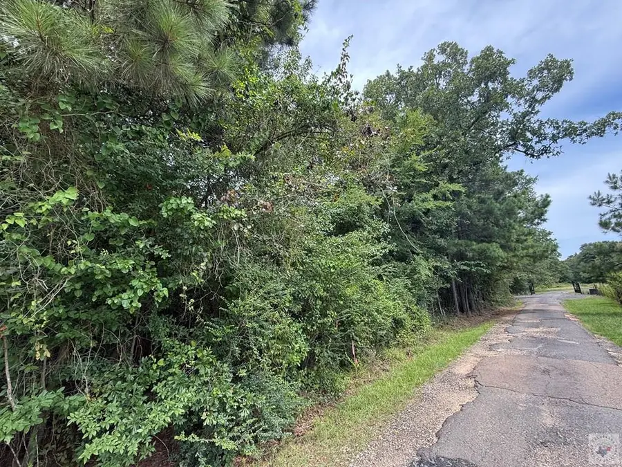 4529 Parker Ln (20 Acres), Texarkana, AR 71854 - #2