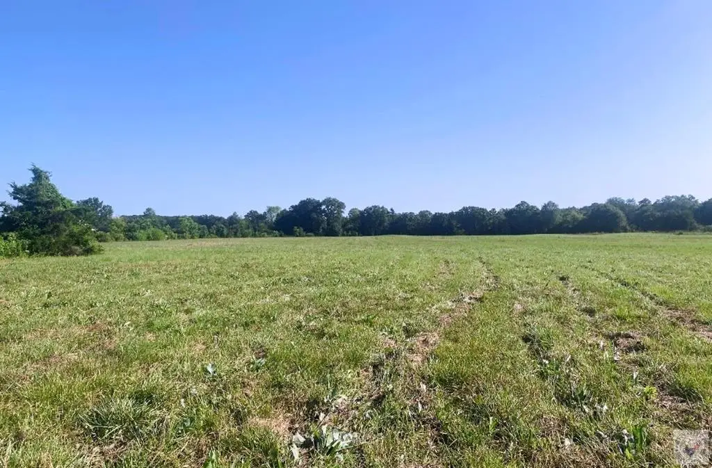 TBD Fm 1840, New Boston, TX 75570 - #1