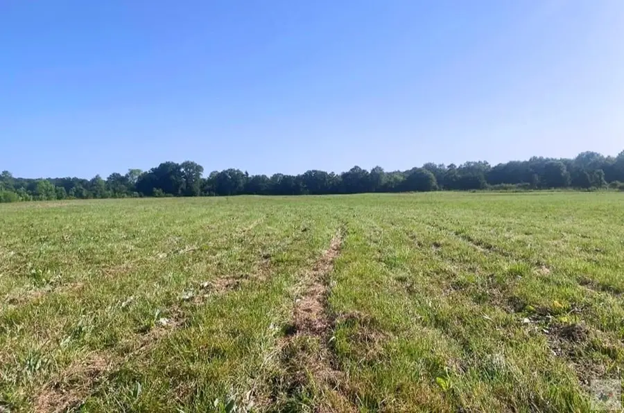 TBD Fm 1840, New Boston, TX 75570 - #2